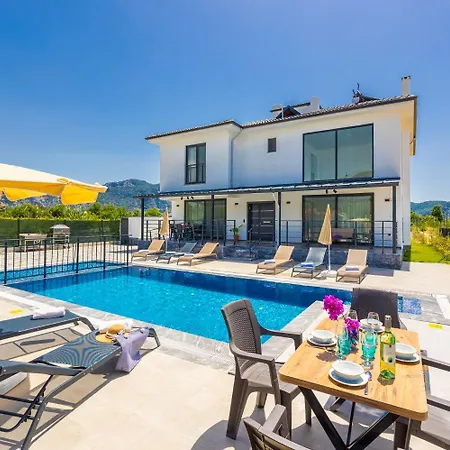 Wonder Villa *